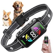 Collar Eléctrico para Perros con Descargas: Entrenamiento Efectivo y Seguro