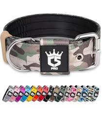 Collar X TRM Flash Fucsia - Estilo y Confort en Cada Detalle