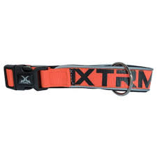 Collar X Trm Naranja: Estilo y Comodidad para tu Mascota